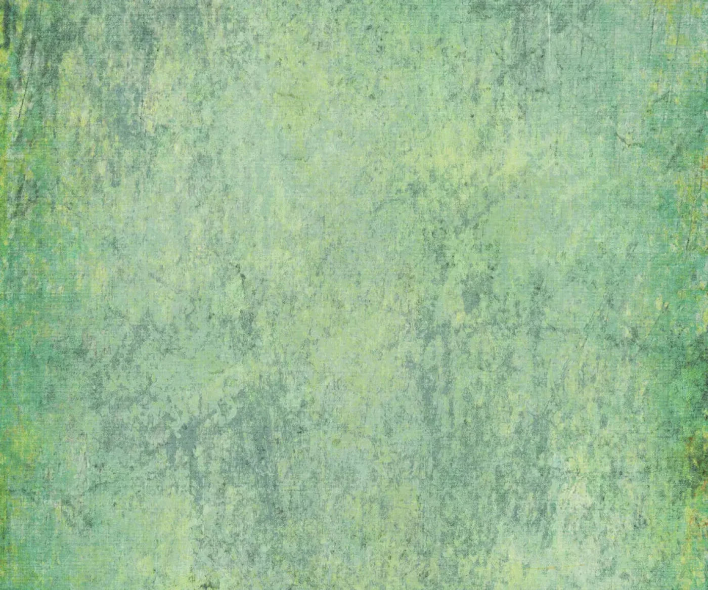 Shane 5X42 Fleece ( 60 X 50 Inch ) Backdrop