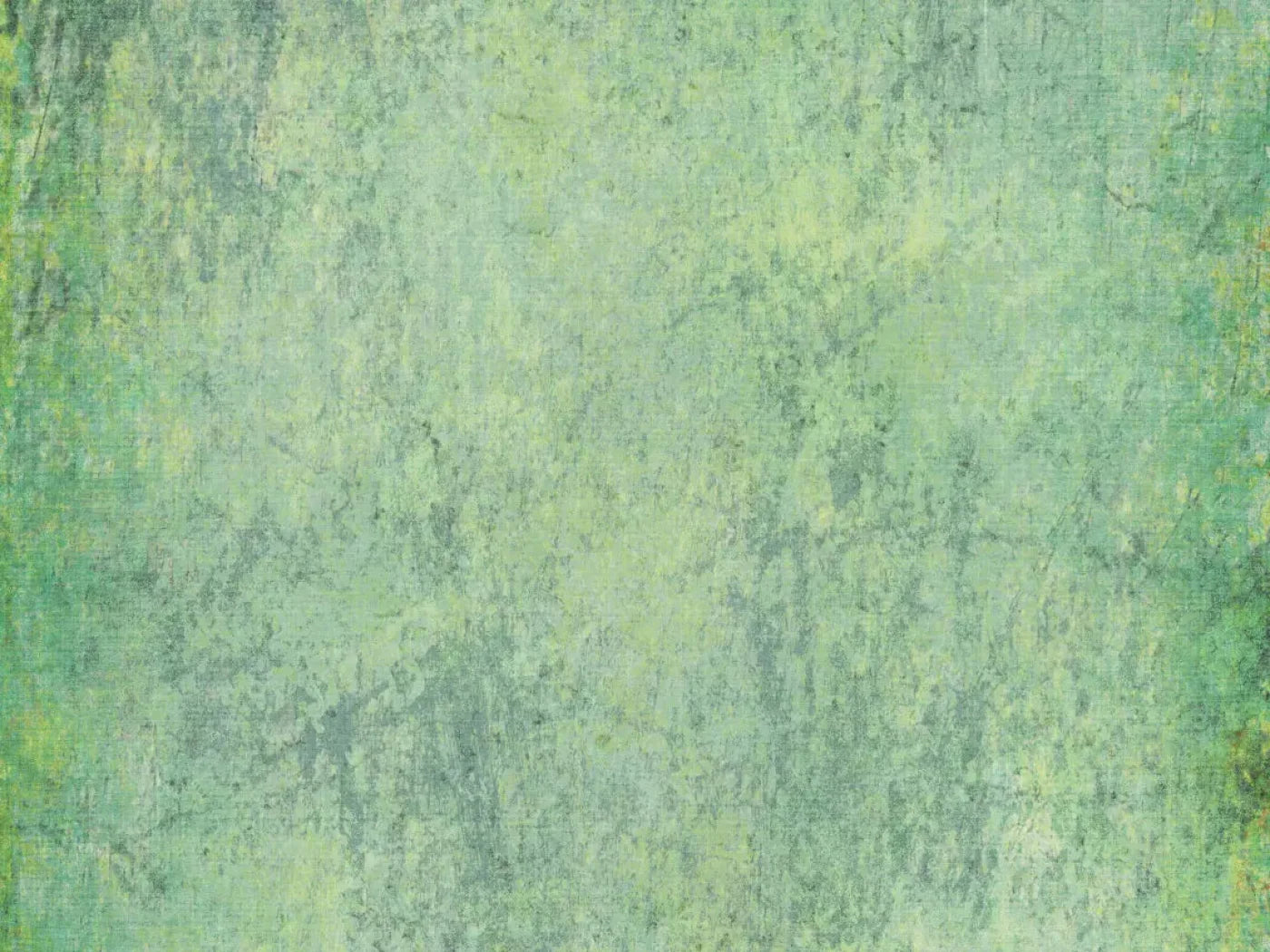 Shane 68X5 Fleece ( 80 X 60 Inch ) Backdrop