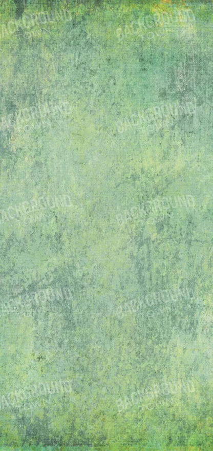 Shane 8X16 Ultracloth ( 96 X 192 Inch ) Backdrop