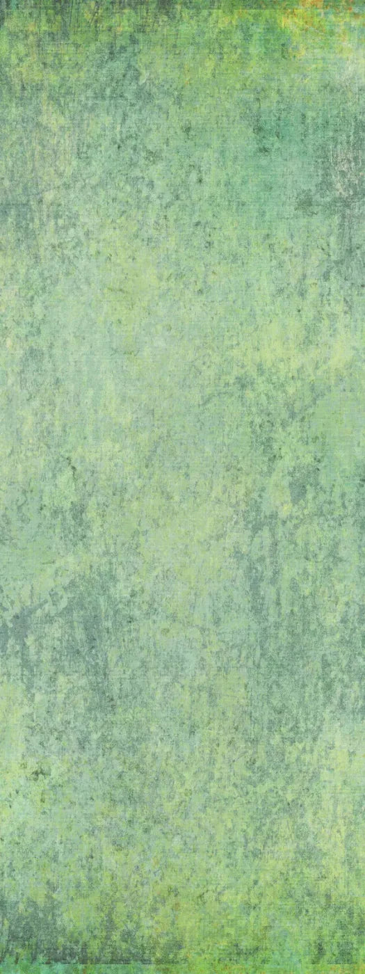 Shane 8X20 Ultracloth ( 96 X 240 Inch ) Backdrop