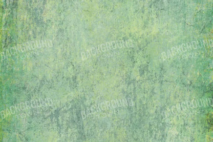 Shane 8X5 Ultracloth ( 96 X 60 Inch ) Backdrop