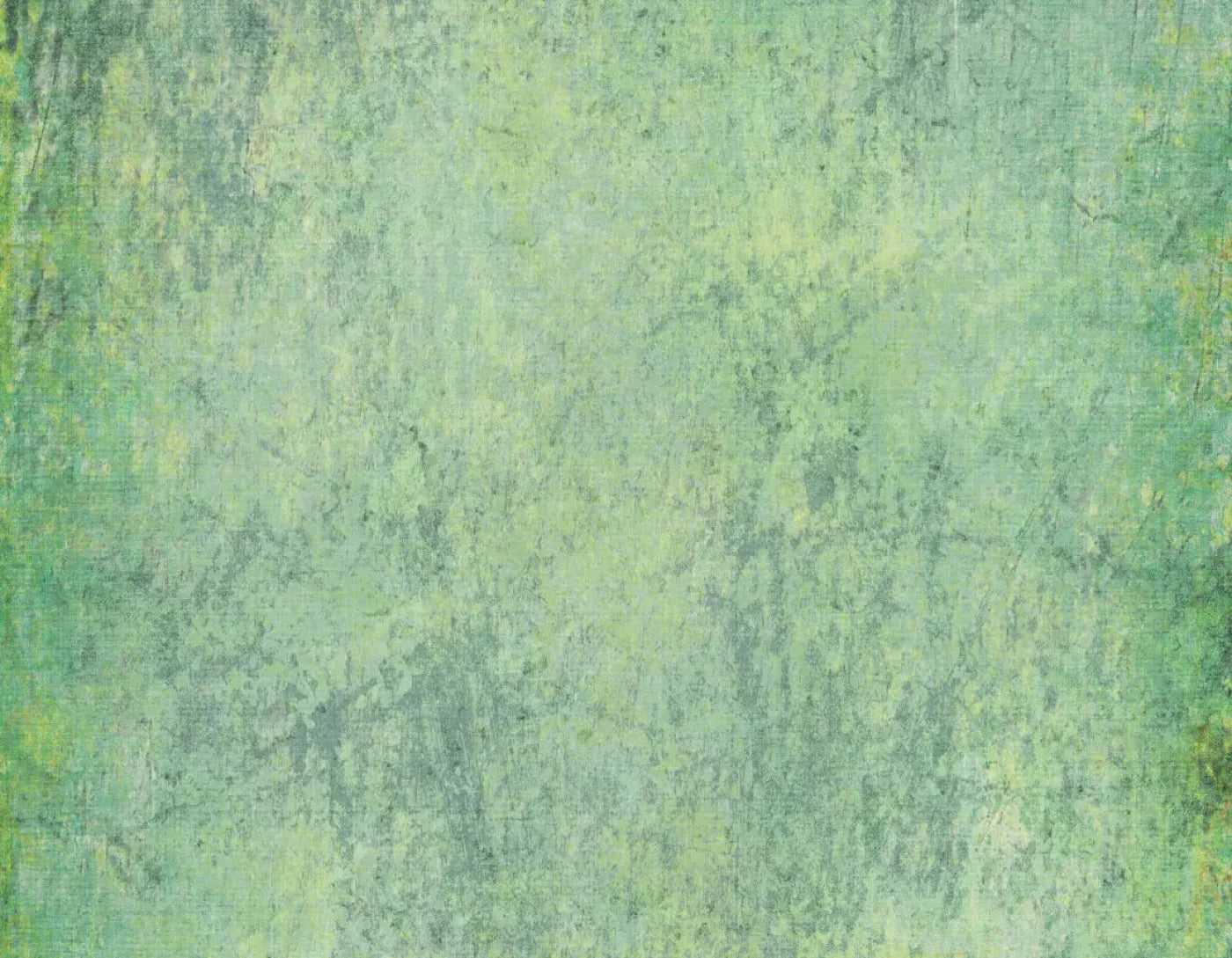 Shane 8X6 Fleece ( 96 X 72 Inch ) Backdrop