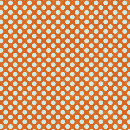 Shaw 10X10 Ultracloth ( 120 X Inch ) Backdrop