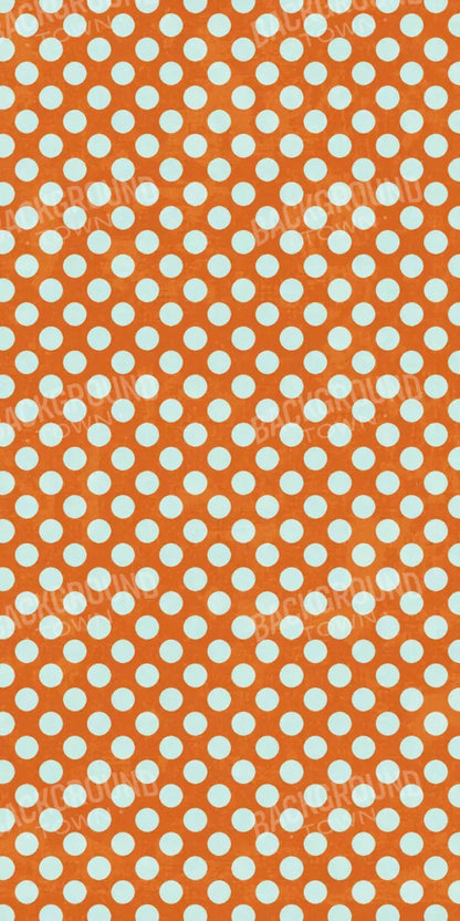 Shaw 10X20 Ultracloth ( 120 X 240 Inch ) Backdrop