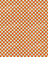Orange Pattern Backdrop for Photography