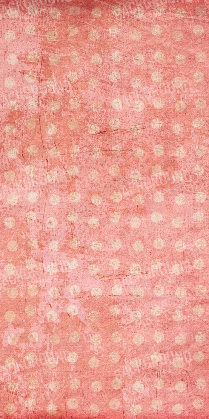 Shawna 10X20 Ultracloth ( 120 X 240 Inch ) Backdrop