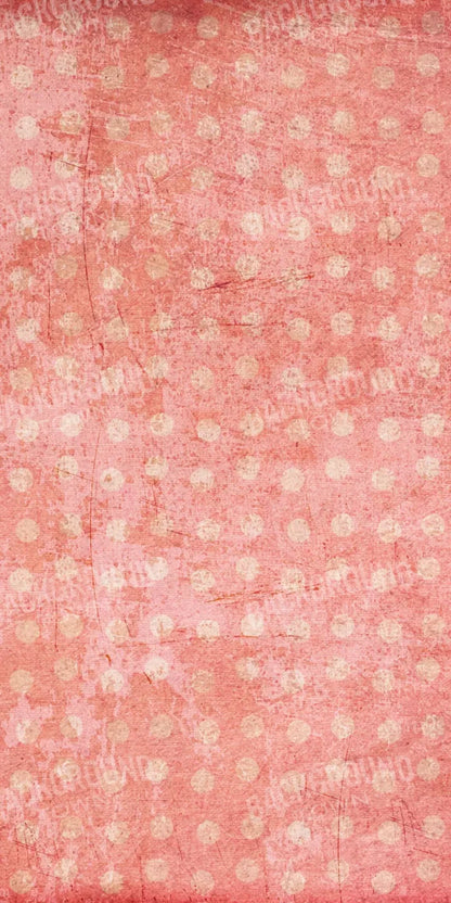 Shawna 10X20 Ultracloth ( 120 X 240 Inch ) Backdrop