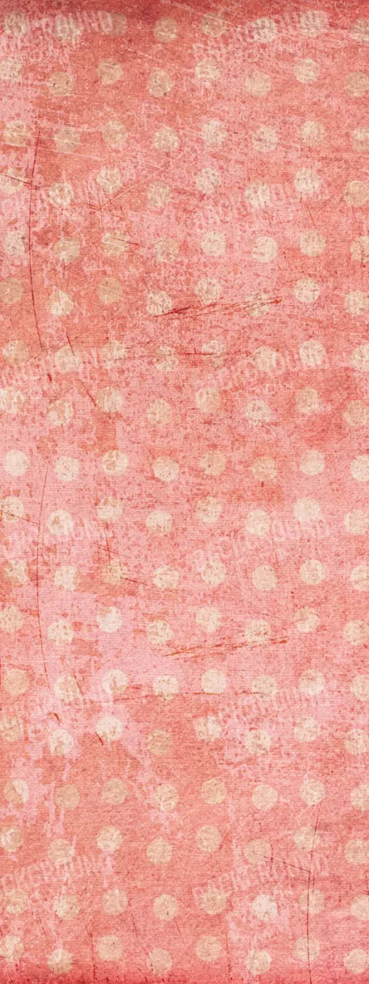 Shawna 8X20 Ultracloth ( 96 X 240 Inch ) Backdrop