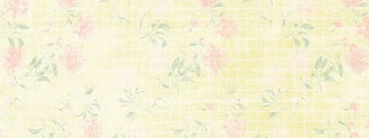 Shaylene 20X8 Ultracloth ( 240 X 96 Inch ) Backdrop