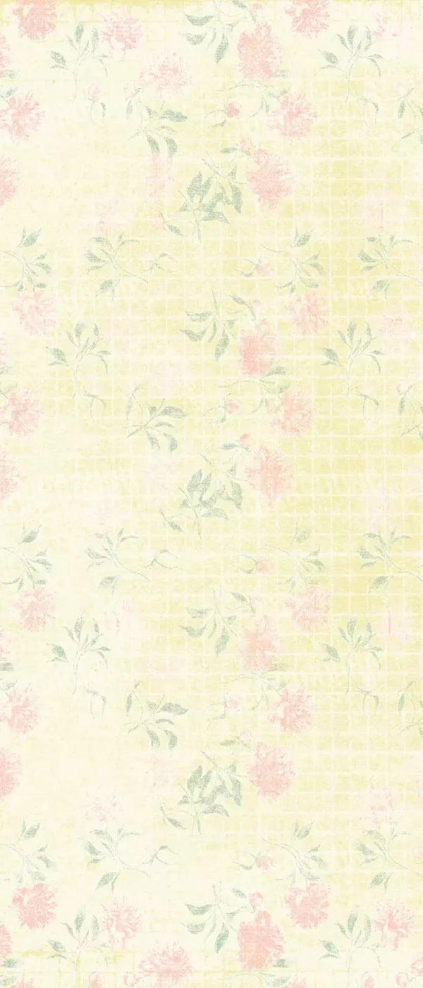 Shaylene 5X12 Ultracloth For Westcott X-Drop ( 60 X 144 Inch ) Backdrop