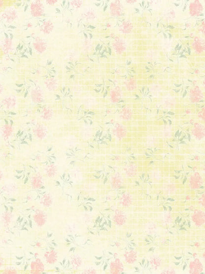 Shaylene 5X7 Ultracloth ( 60 X 84 Inch ) Backdrop