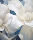 White  Backdrop for Photography