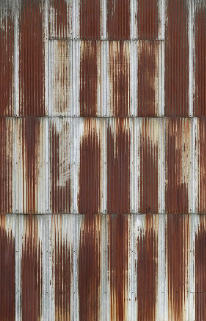 Shed 8X12 Ultracloth ( 96 X 144 Inch ) Backdrop