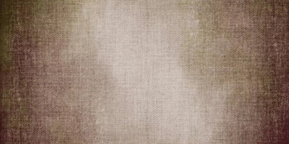Shelby 20X10 Ultracloth ( 240 X 120 Inch ) Backdrop