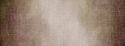 Shelby 20X8 Ultracloth ( 240 X 96 Inch ) Backdrop