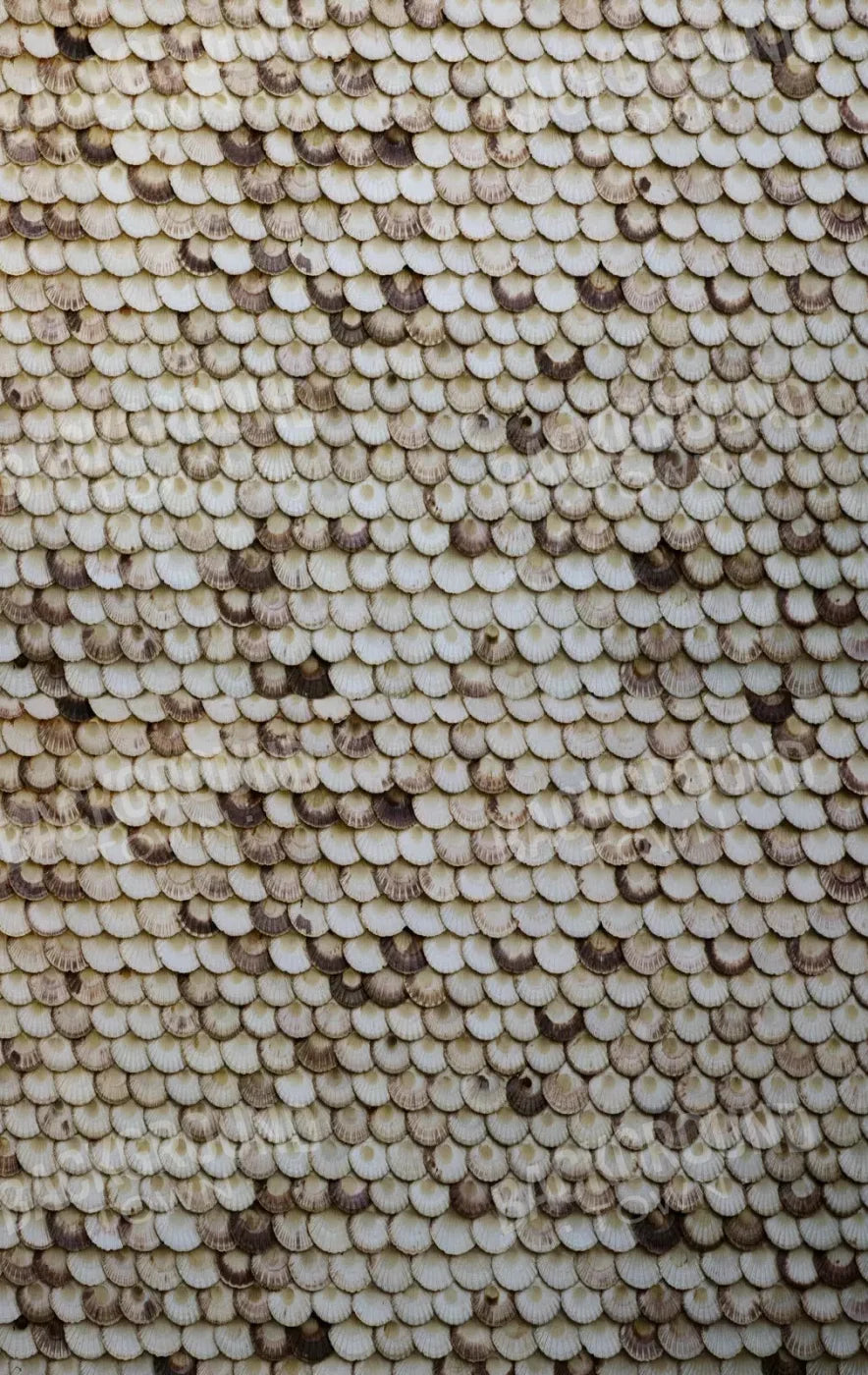 Shelley 10X16 Ultracloth ( 120 X 192 Inch ) Backdrop