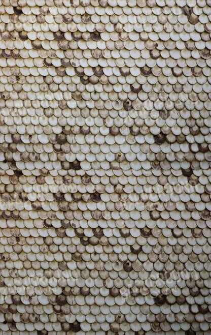 Shelley 10X16 Ultracloth ( 120 X 192 Inch ) Backdrop