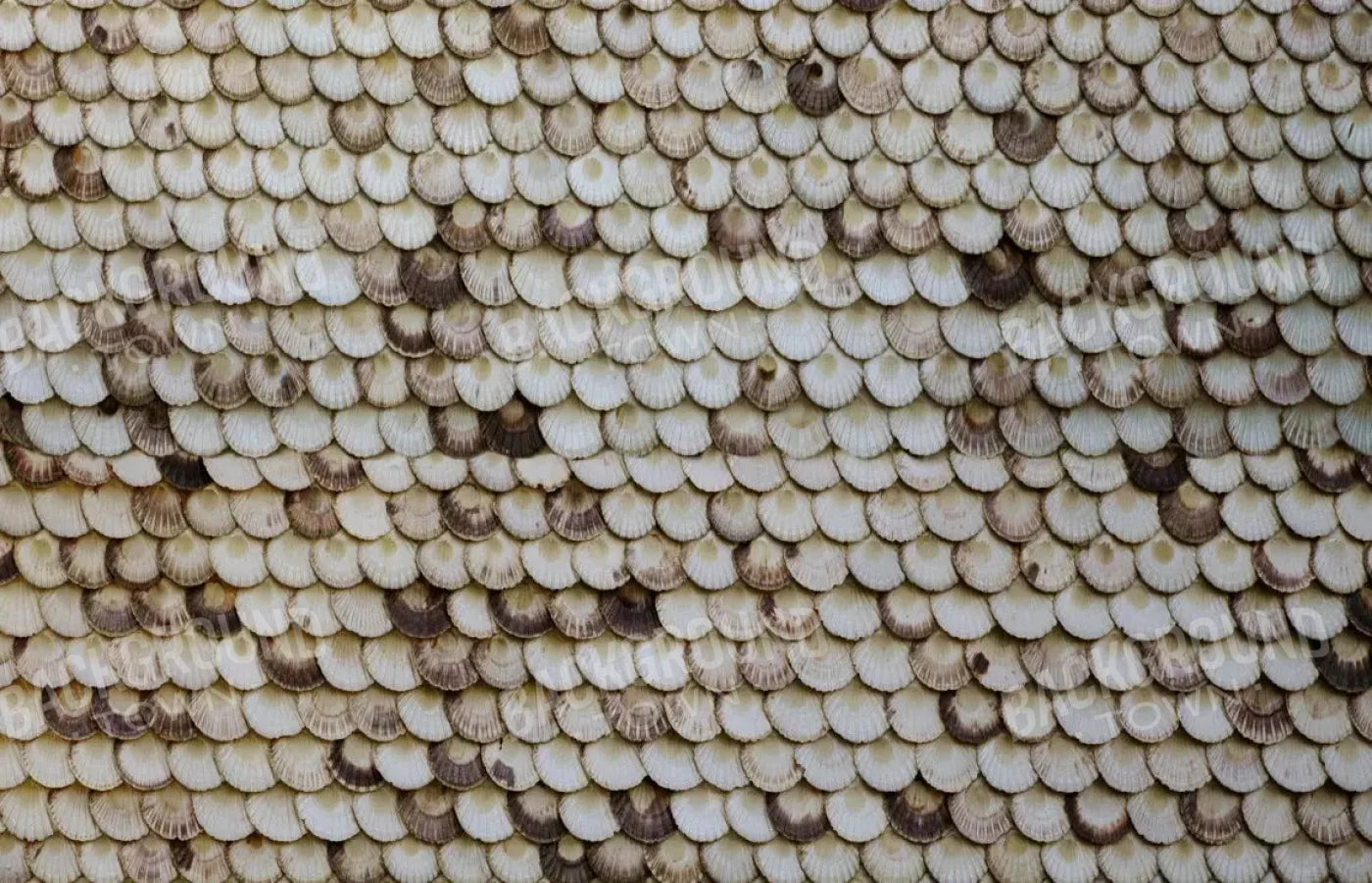 Shelley 12X8 Ultracloth ( 144 X 96 Inch ) Backdrop