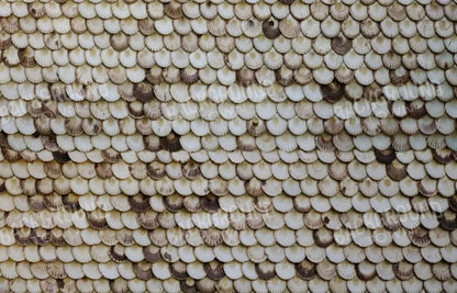 Shelley 12X8 Ultracloth ( 144 X 96 Inch ) Backdrop