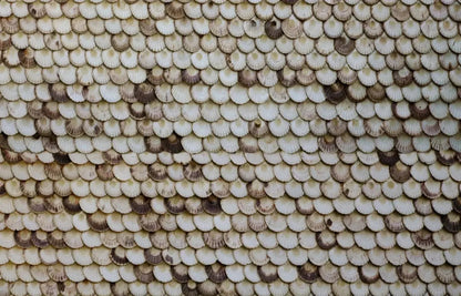 Shelley 12X8 Ultracloth ( 144 X 96 Inch ) Backdrop