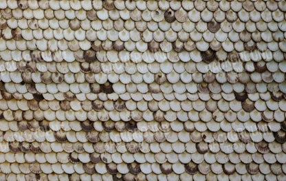 Shelley 16X10 Ultracloth ( 192 X 120 Inch ) Backdrop