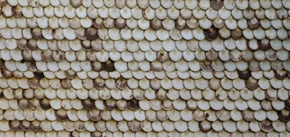 Shelley 16X8 Ultracloth ( 192 X 96 Inch ) Backdrop