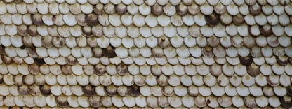 Shelley 20X8 Ultracloth ( 240 X 96 Inch ) Backdrop