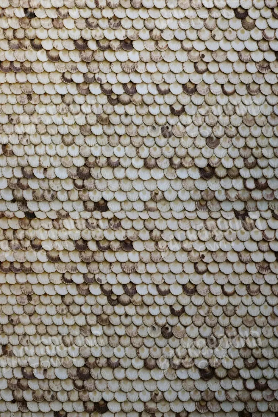 Shelley 5X8 Ultracloth ( 60 X 96 Inch ) Backdrop