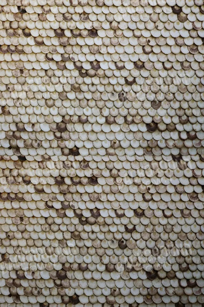 Shelley 5X8 Ultracloth ( 60 X 96 Inch ) Backdrop