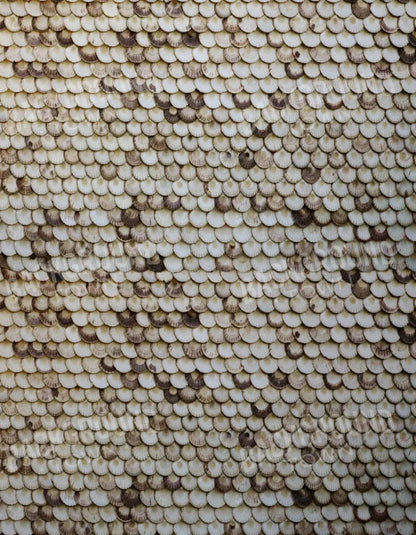 Shelley 6X8 Fleece ( 72 X 96 Inch ) Backdrop