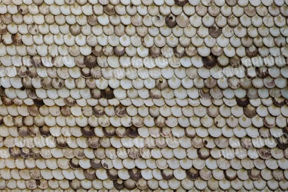 Shelley 8X5 Ultracloth ( 96 X 60 Inch ) Backdrop