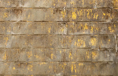 Shelter 12X8 Ultracloth ( 144 X 96 Inch ) Backdrop