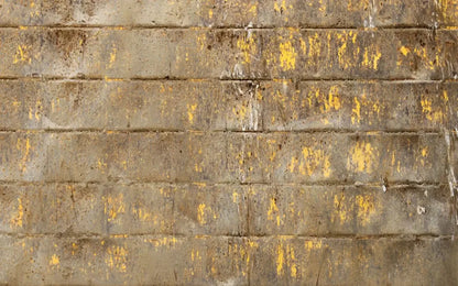 Shelter 14X9 Ultracloth ( 168 X 108 Inch ) Backdrop