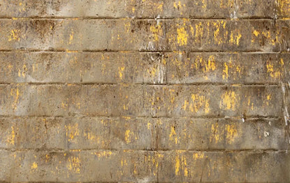 Shelter 16X10 Ultracloth ( 192 X 120 Inch ) Backdrop