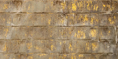 Shelter 20X10 Ultracloth ( 240 X 120 Inch ) Backdrop