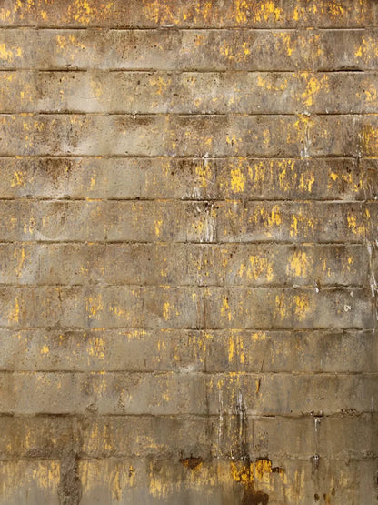 Shelter 5X68 Fleece ( 60 X 80 Inch ) Backdrop