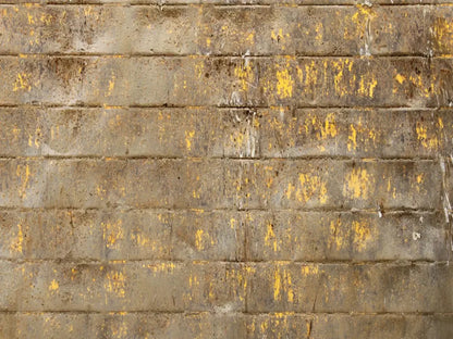 Shelter 68X5 Fleece ( 80 X 60 Inch ) Backdrop