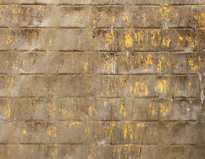 Shelter 8X6 Fleece ( 96 X 72 Inch ) Backdrop