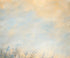 Yellow Blue  Backdrop for Photography