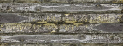 Shipmate 20X8 Ultracloth ( 240 X 96 Inch ) Backdrop