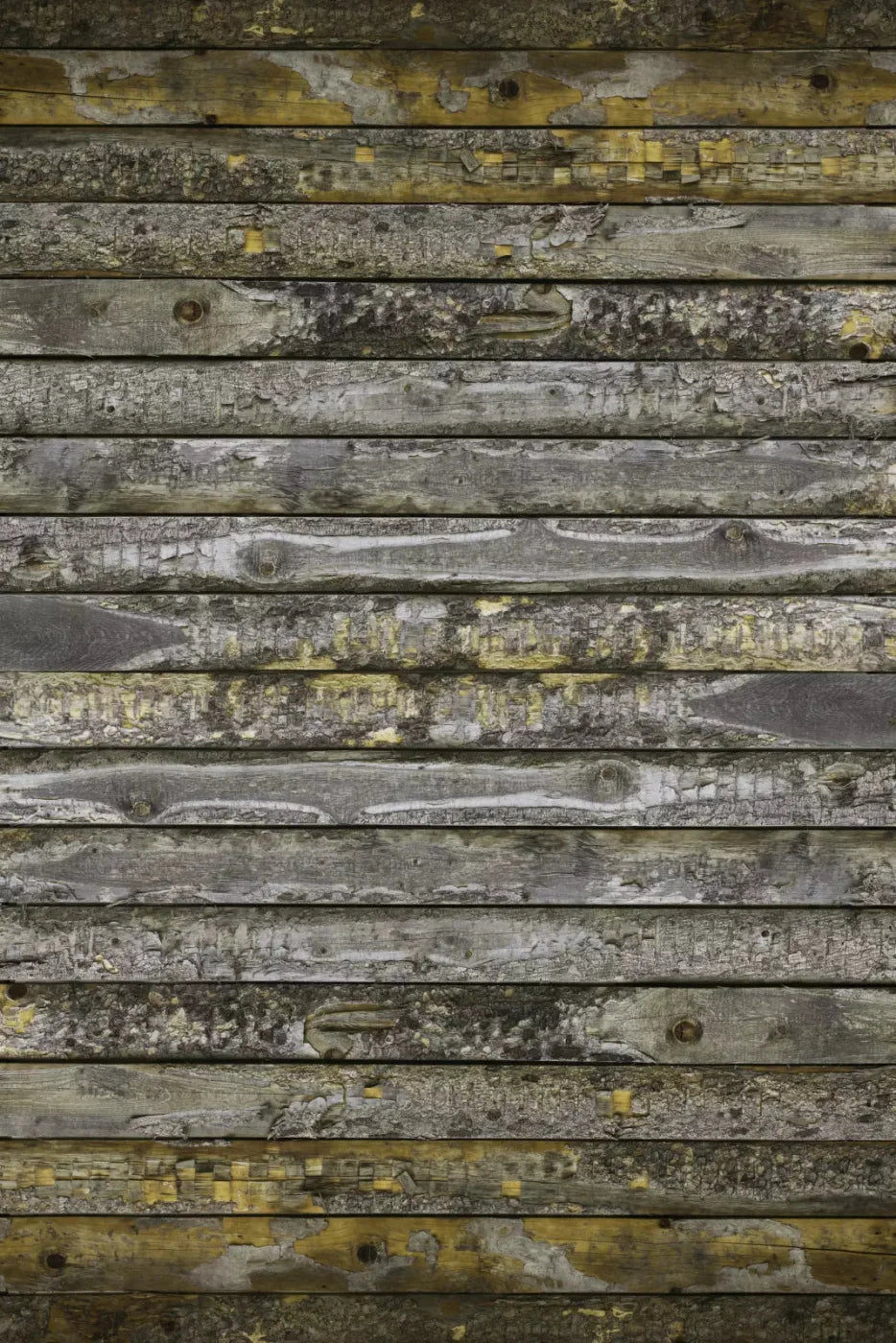Shipmate Backdrop