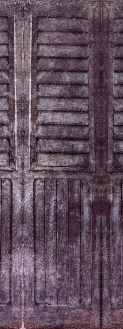 Shutter 8X20 Ultracloth ( 96 X 240 Inch ) Backdrop