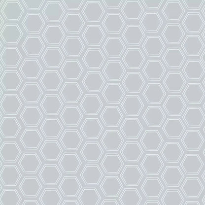 Silver Hex 10X10 Ultracloth ( 120 X Inch ) Backdrop