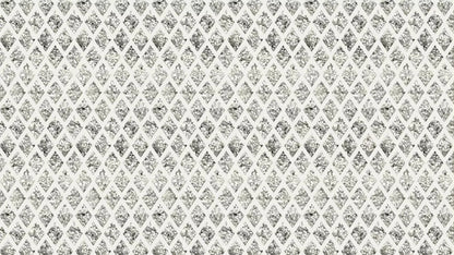 Silverman 14X8 Ultracloth ( 168 X 96 Inch ) Backdrop