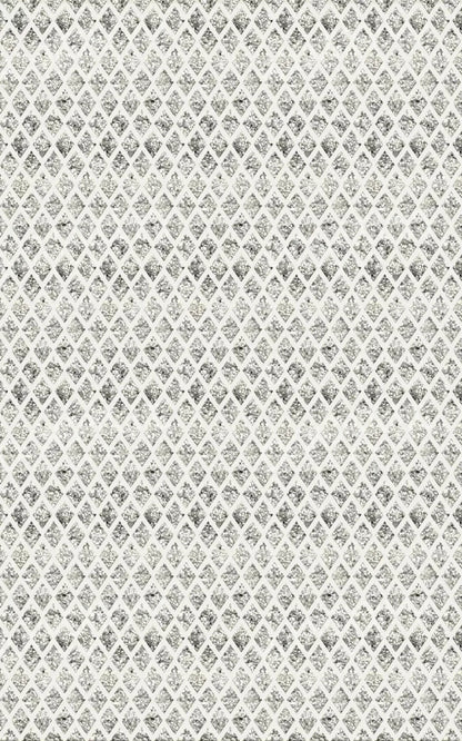 Silverman 9X14 Ultracloth ( 108 X 168 Inch ) Backdrop