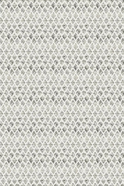 Silverman Backdrop
