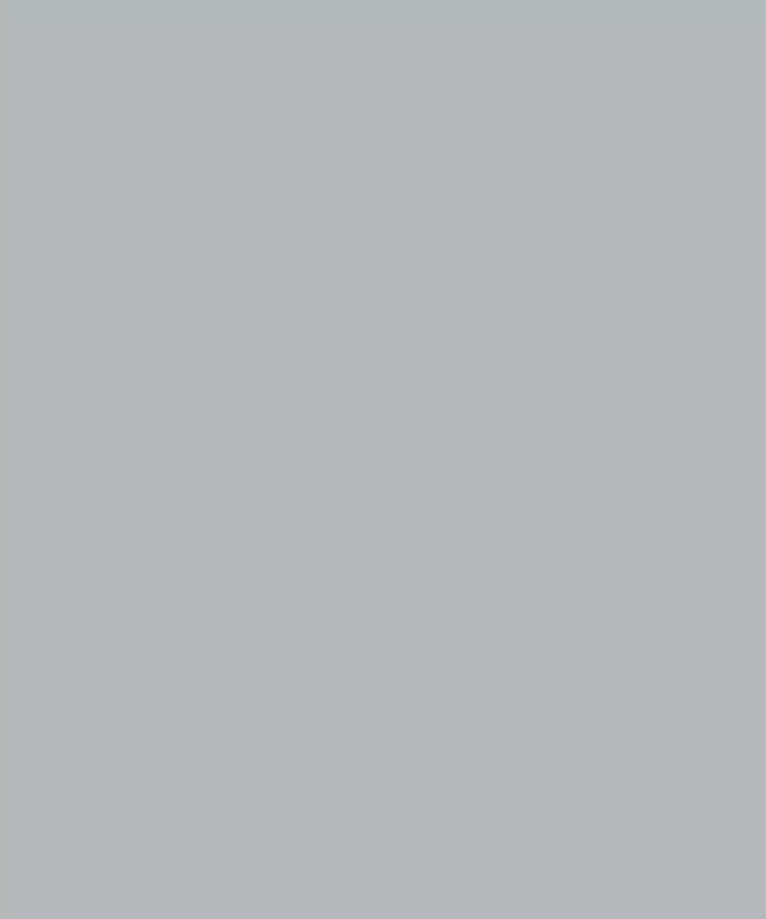 Silvermist Gray Solid Color Backdrop for Photography