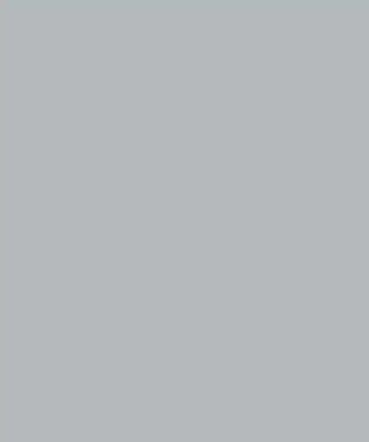 Silvermist Gray Solid Color Backdrop for Photography