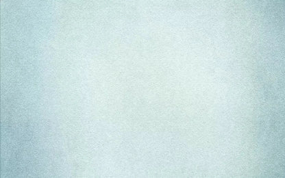 Simeon 14X9 Ultracloth ( 168 X 108 Inch ) Backdrop