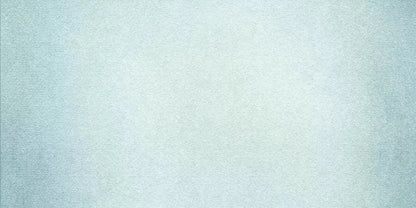 Simeon 20X10 Ultracloth ( 240 X 120 Inch ) Backdrop